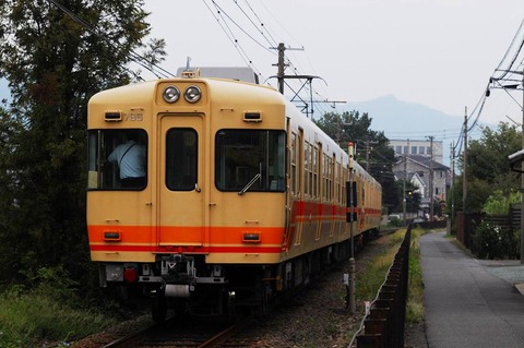 DSC_7291 (2)s-