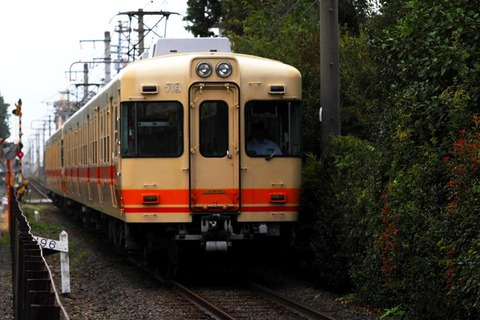 DSC_7288 (2)s-