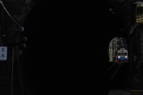 DSC_7462 (2)s-