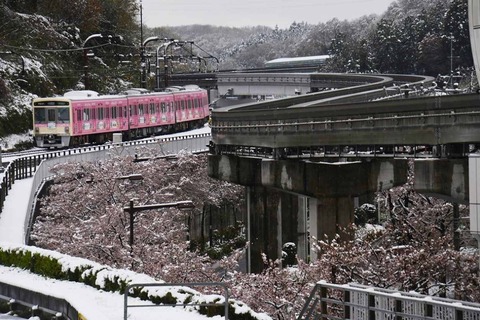 DSC_9634  程久保　桜s-