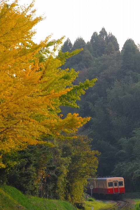 DSC_3305 (2)s-