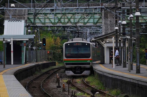 DSC_7353 (2)s-