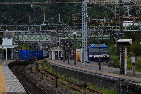 DSC_7385 (2)s-