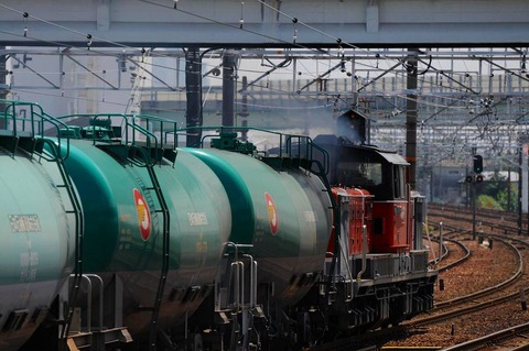 DSC_2727 (2)s-