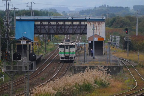 DSC_7960 (2)s-