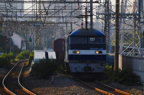 DSC_2443 (2)s-