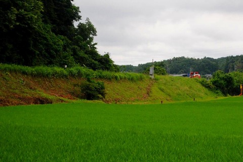 DSC_5643 玉川村s-