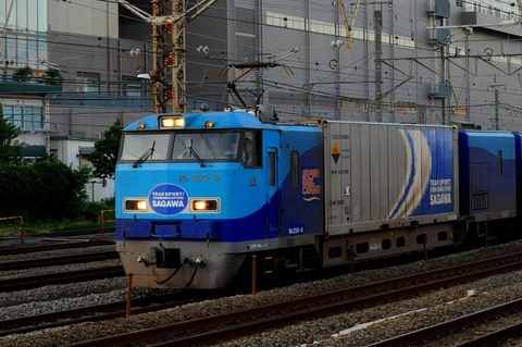 DSC_2410 (2)s-