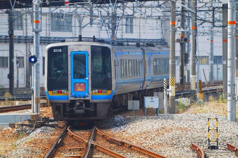 DSC_7305 (2)s-