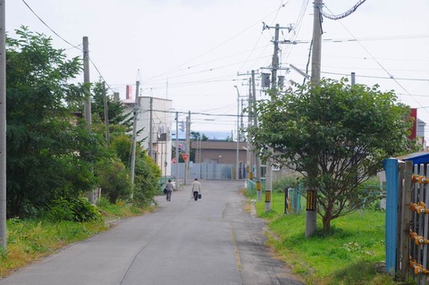 DSC_7958 (2)s-