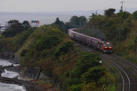 DSC_7786 (2)s-
