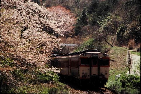 PB070019s-