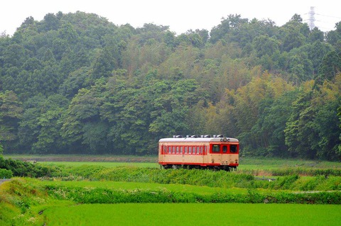 DSC_5586 (2)s-