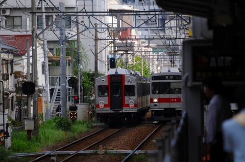 DSC_7309 (2)s-