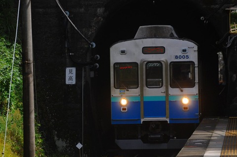 DSC_7467 (2)s-