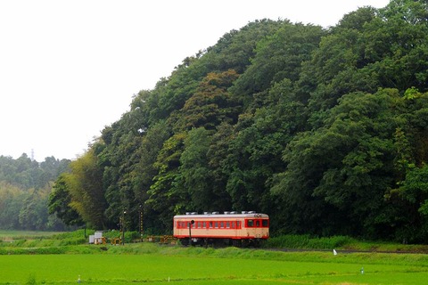 DSC_5587 (2)s-