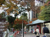 minoo1