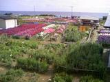 090228_tateyama6