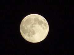 CIMG5045