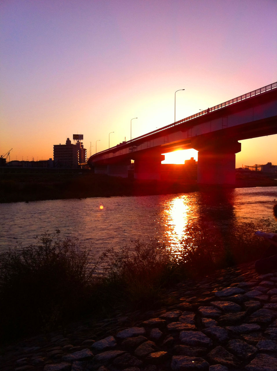 夕焼け通信社 二子玉川 夕焼け通信社 二子玉川