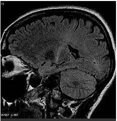 4f758514.jpg