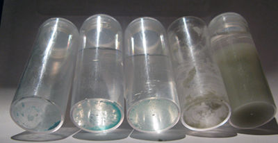 72c25d66.jpg