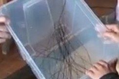 How to capture GANS - 1