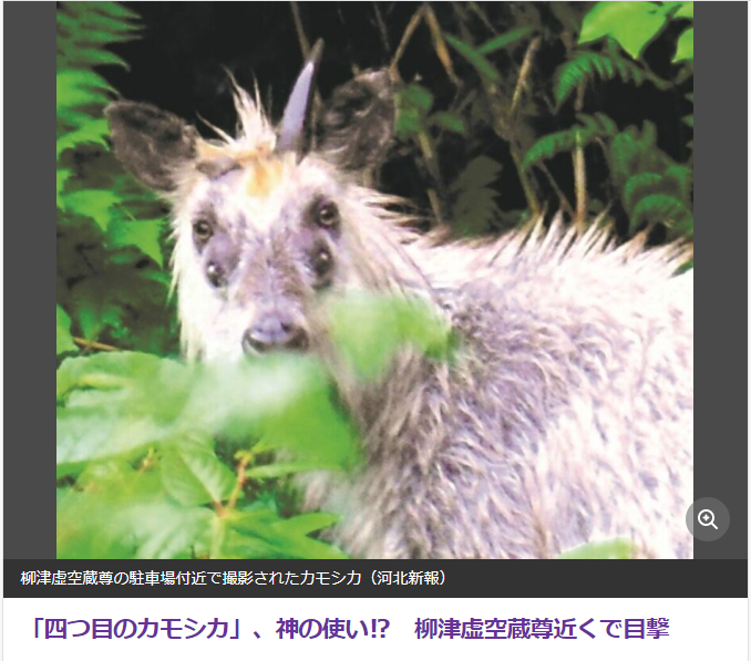 宮城県 サンシャイン サウンド 管理人 ふぃんち 宮城県 サンシャイン サウンド 管理人 ふぃんち