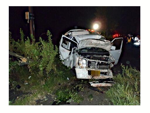 イノシシ9頭 車と次々に衝突 全部即死 サンシャイン サウンド 管理人 ふぃんち イノシシ9頭 車と次々に衝突 全部即死 サンシャイン サウンド 管理人 ふぃんち