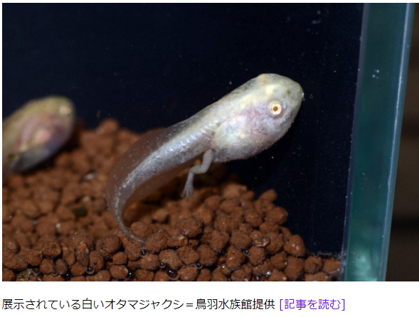 三重県 サンシャイン サウンド 管理人 ふぃんち 三重県 サンシャイン サウンド 管理人 ふぃんち