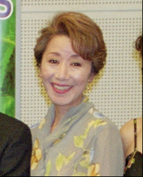 藤田淑子さん死去 サンシャイン サウンド 管理人 ふぃんち 藤田淑子さん死去 サンシャイン サウンド 管理人 ふぃんち
