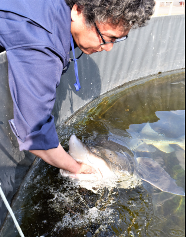 サンシャイン サウンド 管理人 ふぃんち livedoor blog