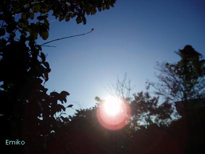PB030061@.JPG