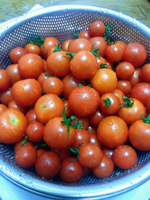 2012082822370001.jpg
