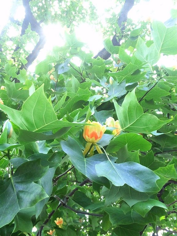 blog_20140514.jpg