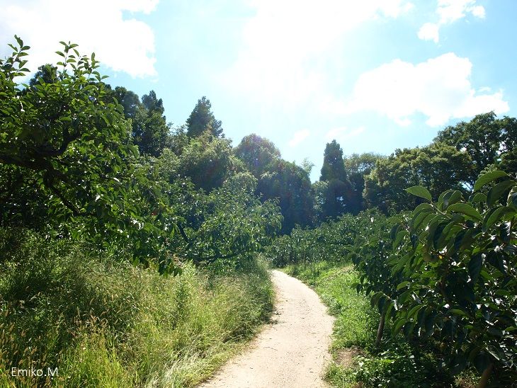 blog_A0145074.jpg