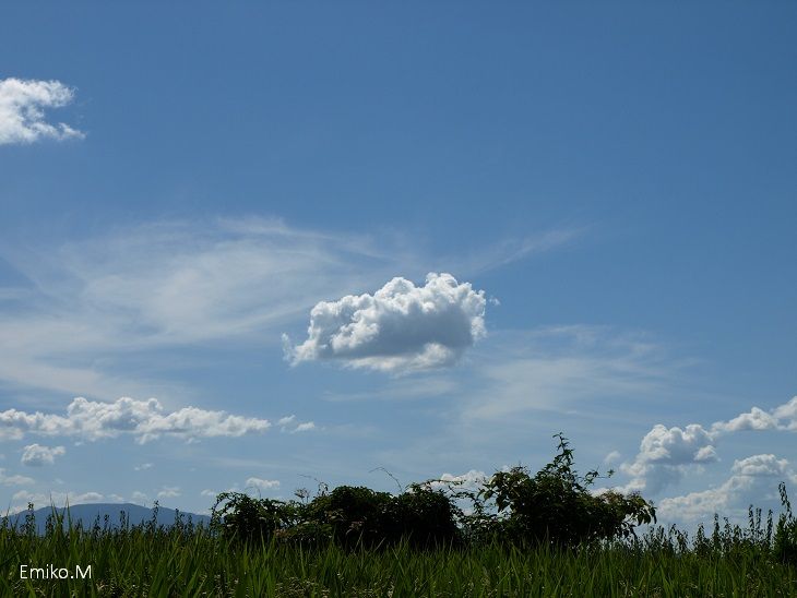 blog_A0145083.jpg