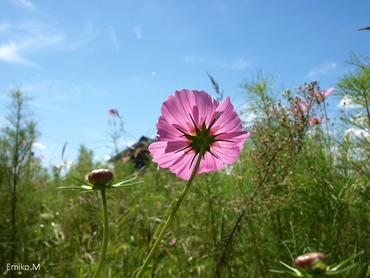 blog_A0145080.jpg