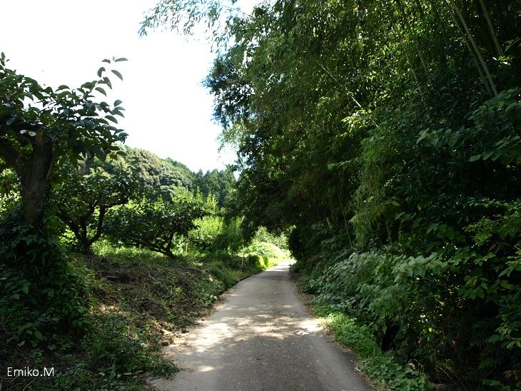blog_A0145070.jpg