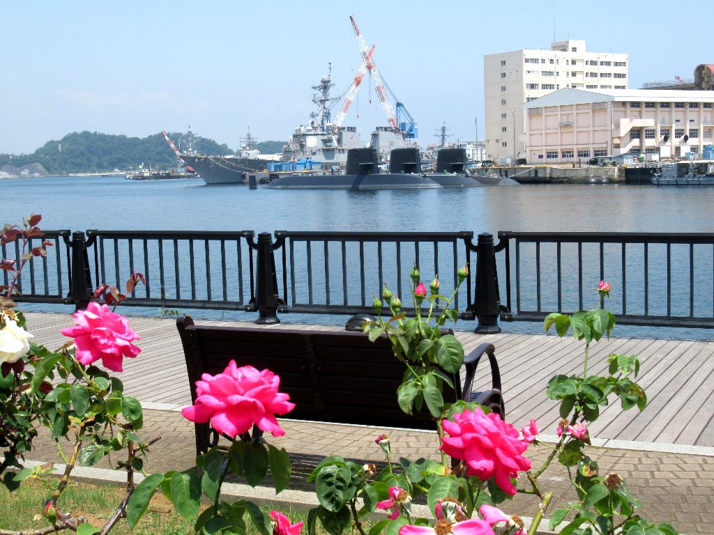 コースカ横須賀とヴェルニー公園 クリーン グリーン