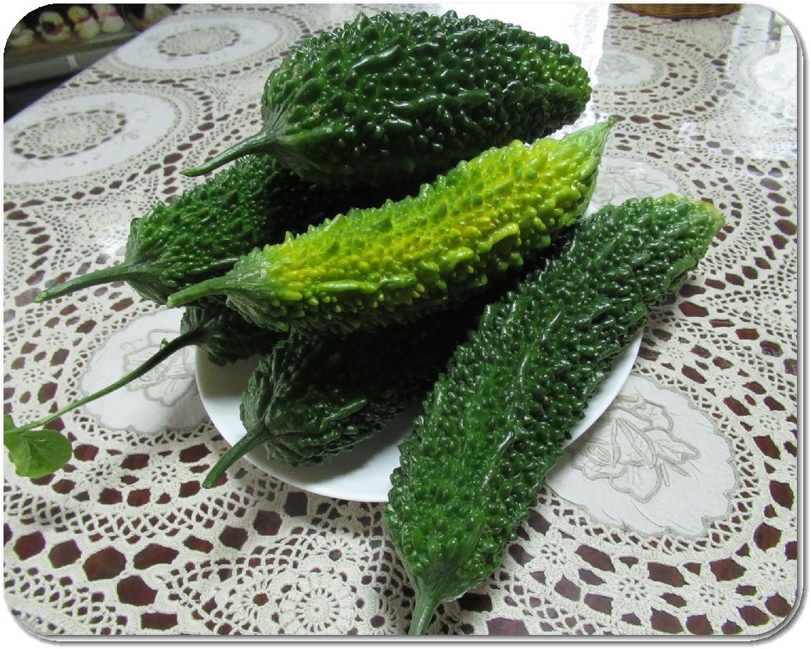 ゴーヤの赤い種 クリーン グリーン