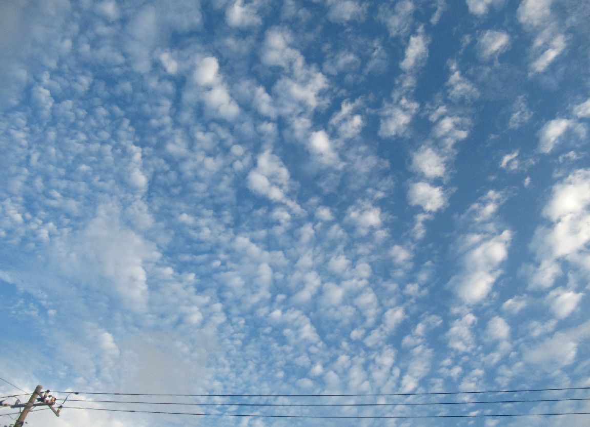 うろこ雲 クリーン グリーン