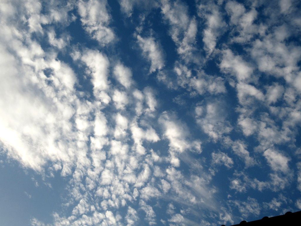 うろこ雲 クリーン グリーン