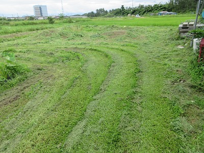 IMG_1789