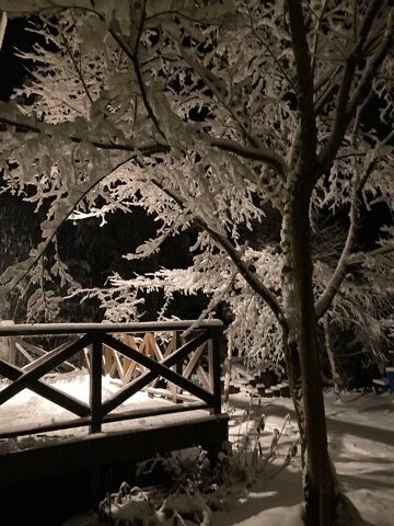 深夜の雪