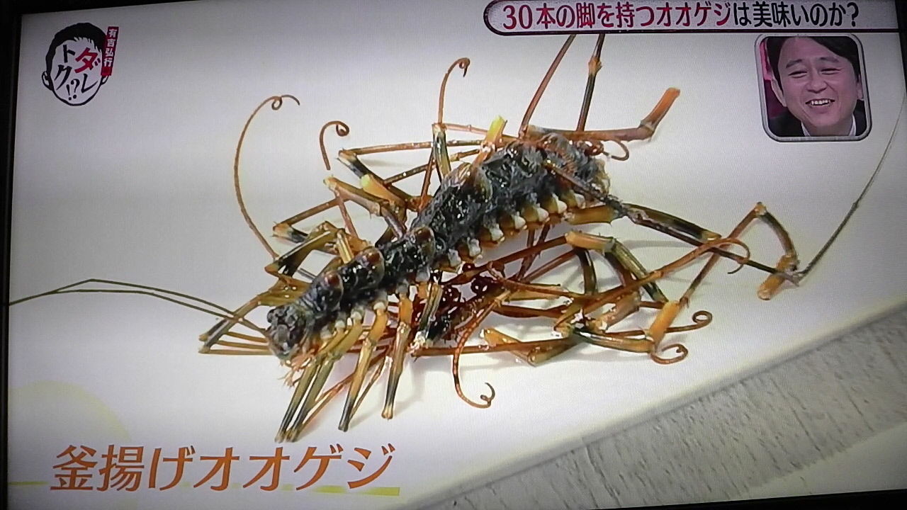 ダレトク な日々 四面楚歌 ではなし ダレトク な日々 四面楚歌 ではなし