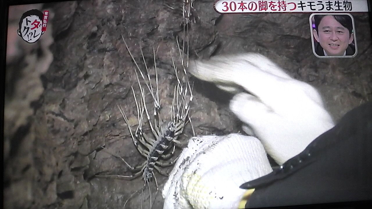 ダレトク な日々 四面楚歌 ではなし ダレトク な日々 四面楚歌 ではなし