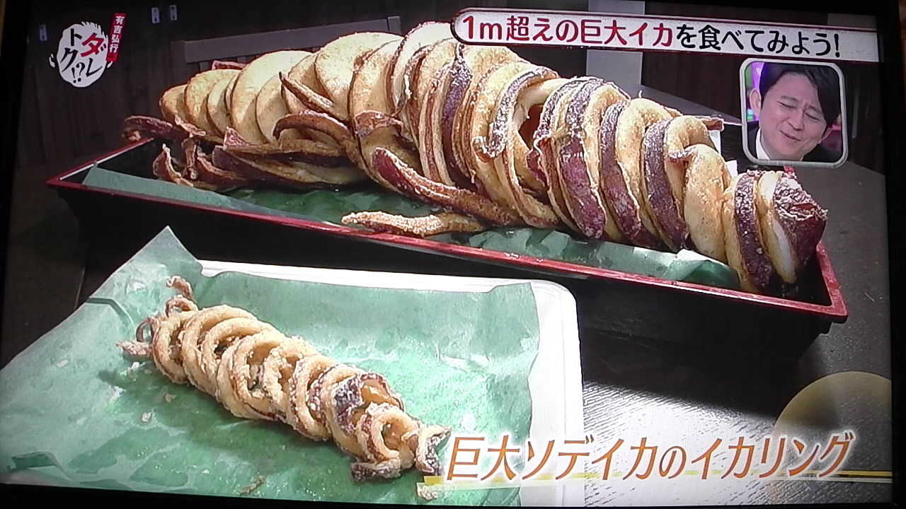 おや イカ臭い 四面楚歌 ではなし おや イカ臭い 四面楚歌 ではなし
