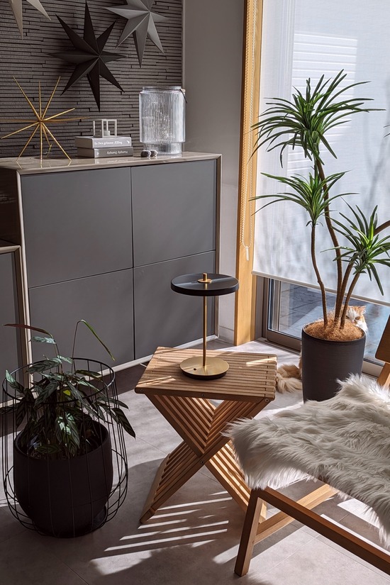 PXL_20231221_034921176.PORTRAIT.ORIGINAL