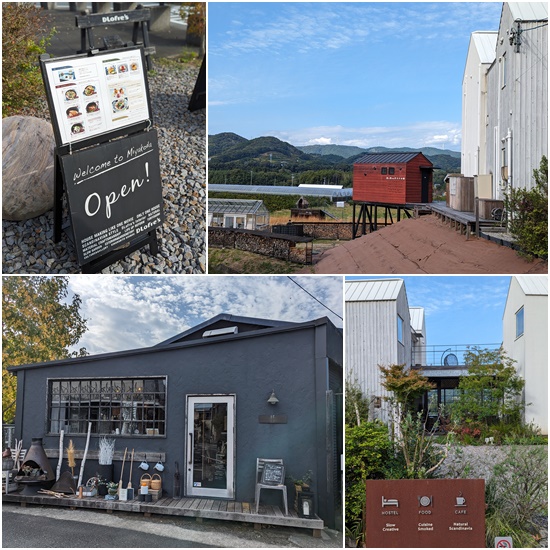 ドロフィーズ４